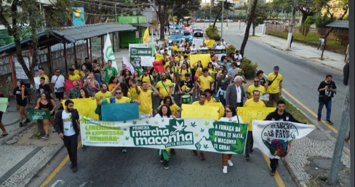 maconha foto