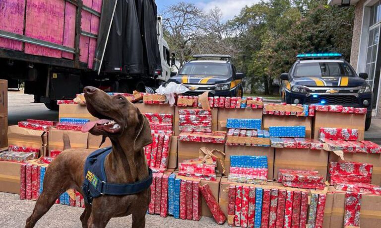 PRF apreende duas toneladas de maconha escondida em carreta na Via Dutra