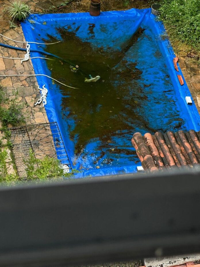 f7e514d3-73c5-44da-9e1e-8b67182692a4 (1)