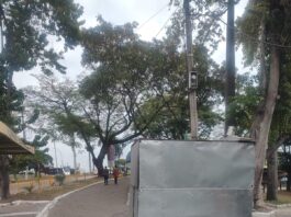 Broncas & Palmas