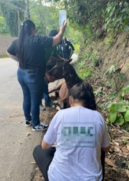 WhatsApp Image 2025-10-27 at 18.04.43