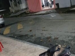 ‘Tremenda sacanagem’