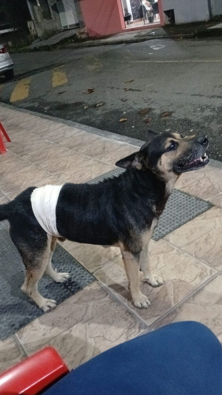 ‘Tremenda sacanagem’
