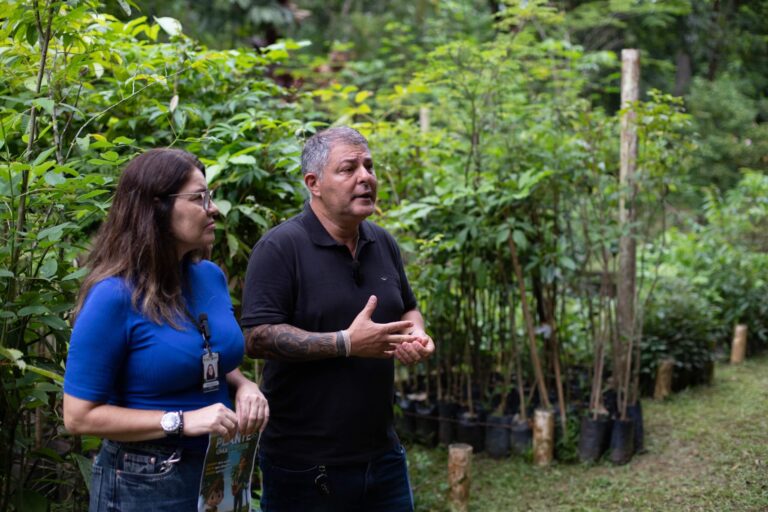 Secretaria  lança projeto ‘Plante uma Árvore’