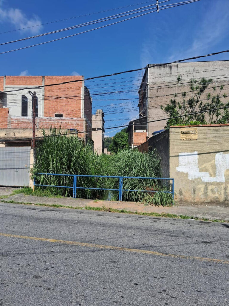 “Ratos, sujeira e abandono”