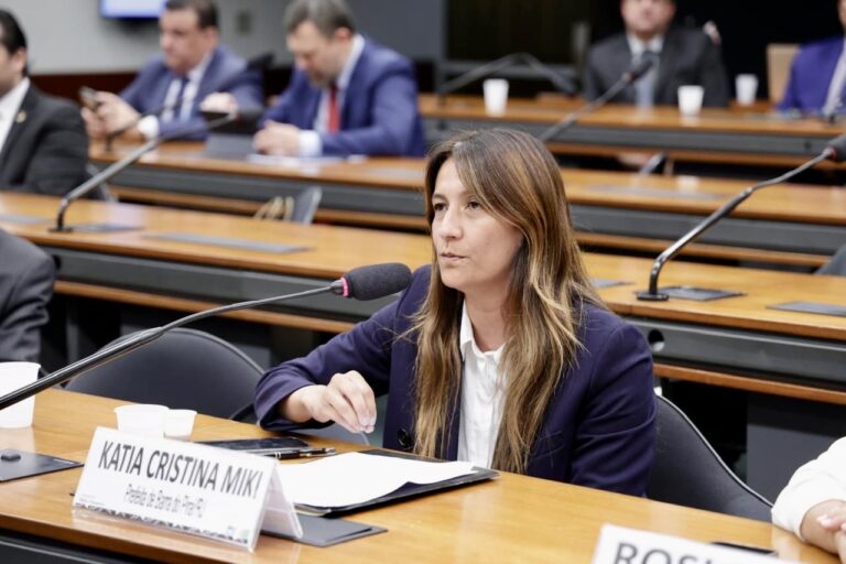 A BR-393 é essencial