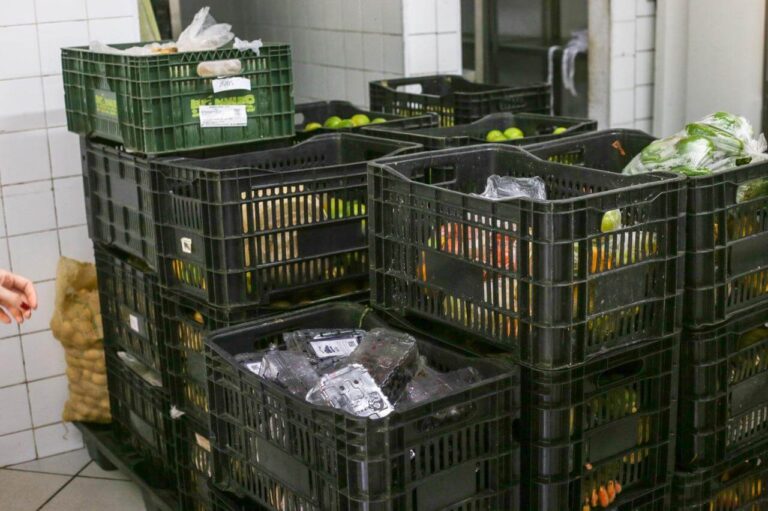 Alimentos que seriam descartados ajudam a transformar vidas