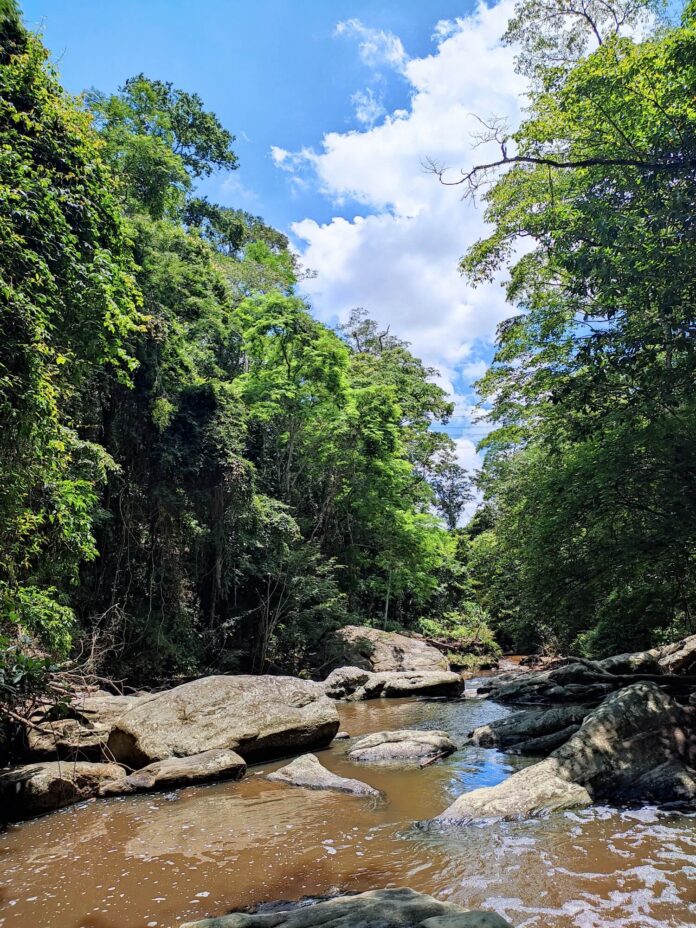 Rio_Branda?o2_ARIE_Floresta_da_Cicuta.jpg (1)