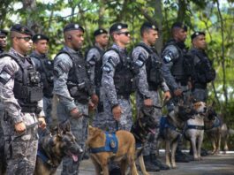 Unidade especializada