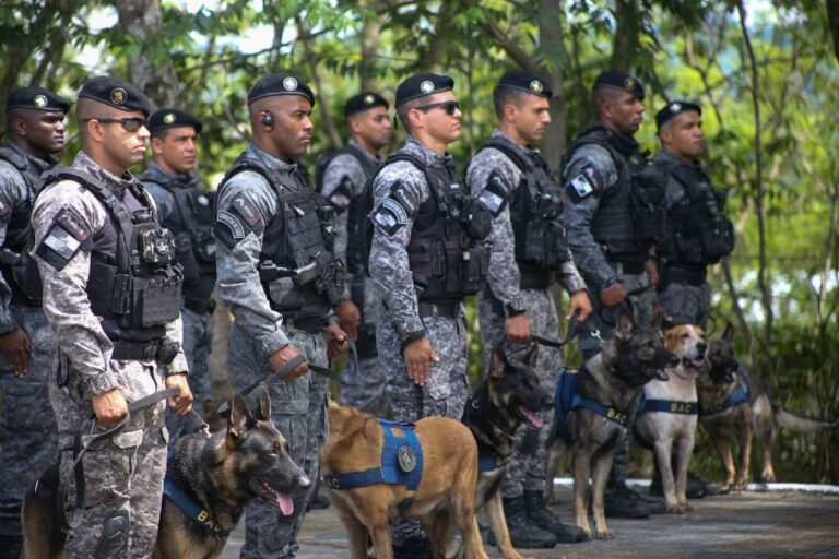 Unidade especializada