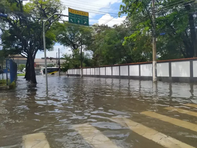 “Falta de varrição”